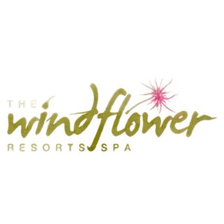 The Windflower